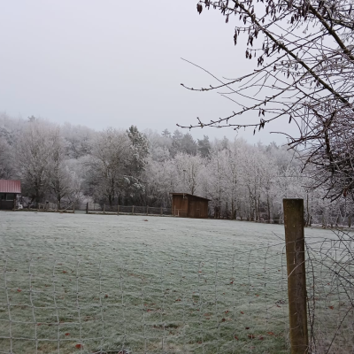 Testseite Bilder Edith