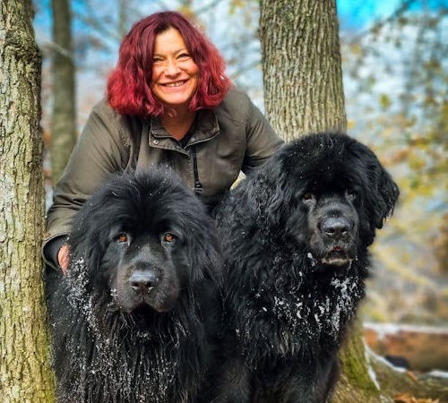 Portrait Susanne Schumacher