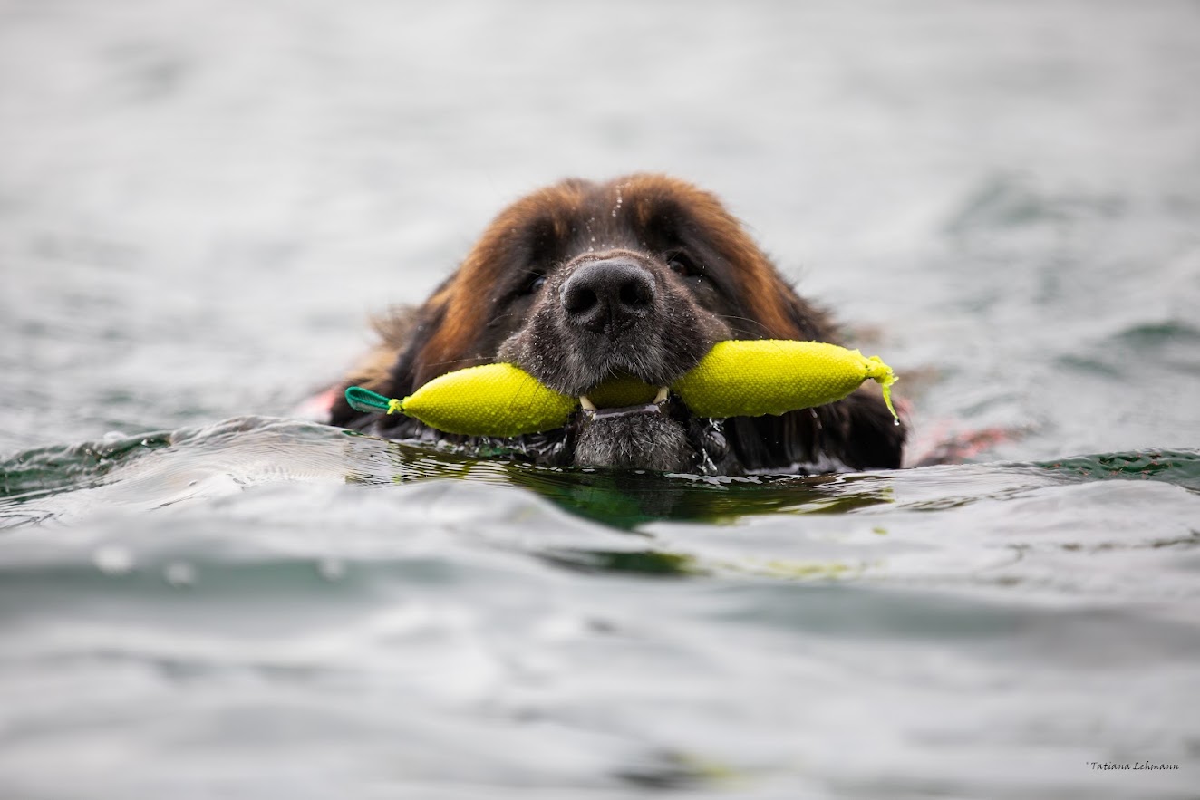Wasserarbeit